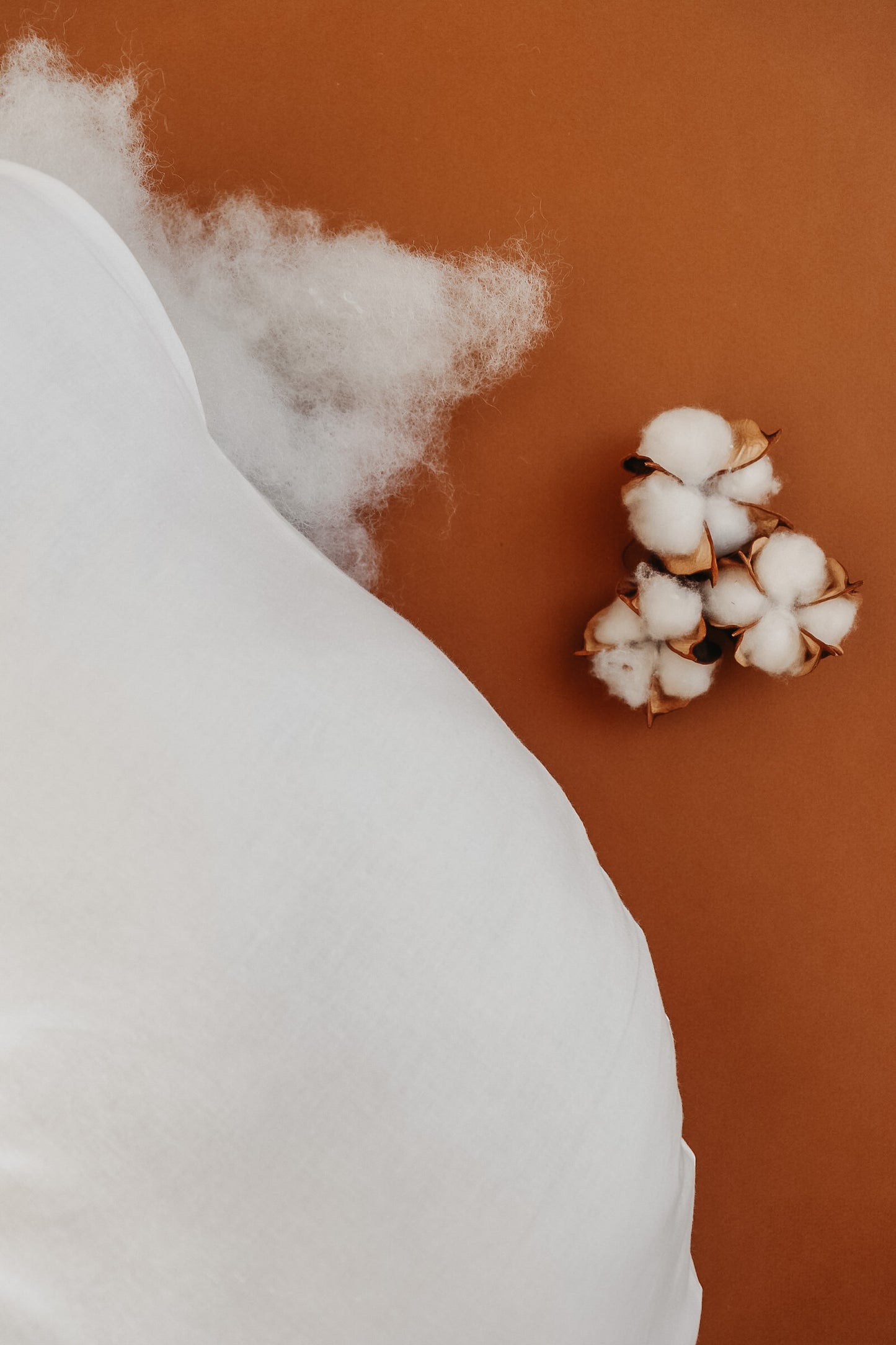 Nursing Pillow Insert