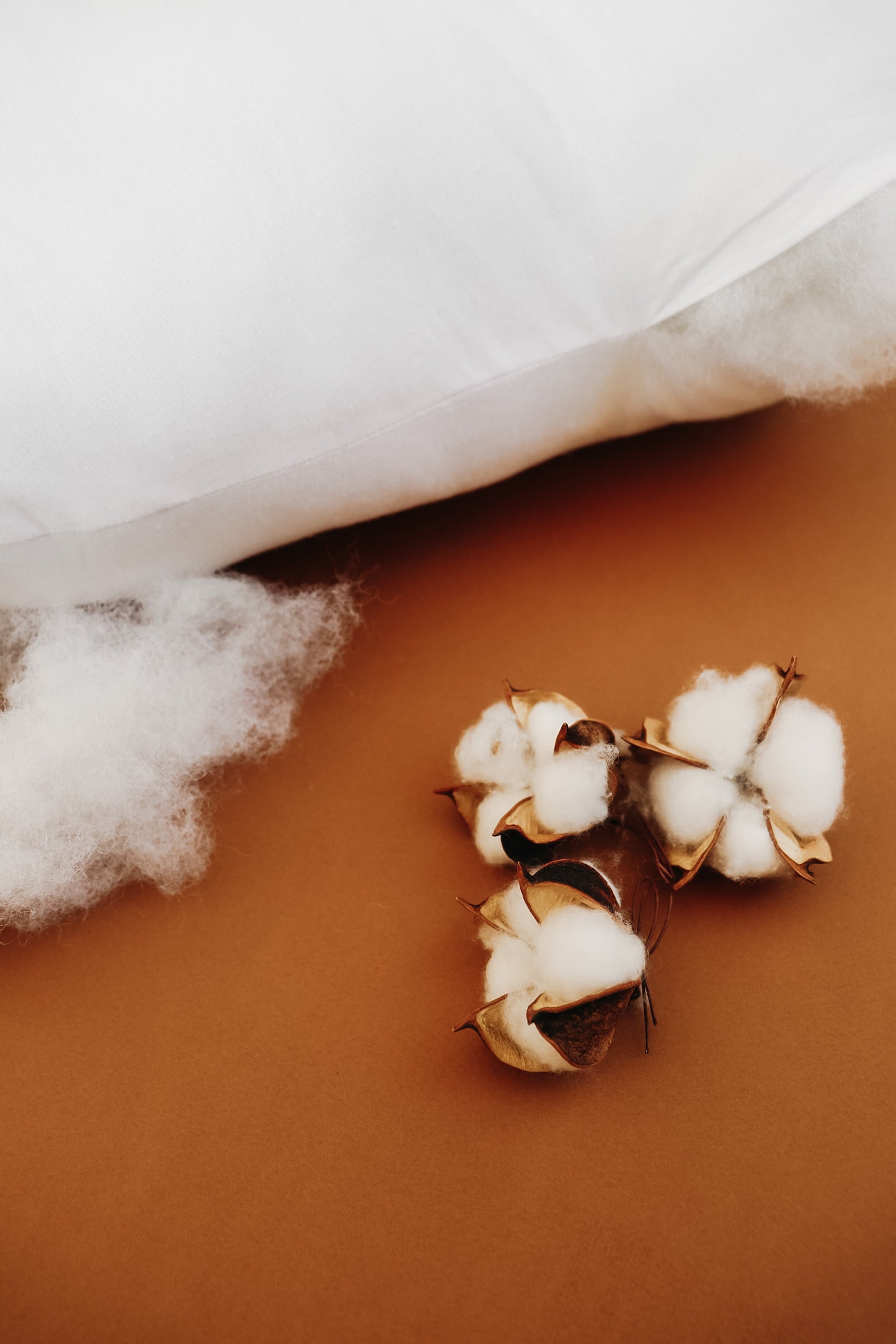 Nursing Pillow Insert