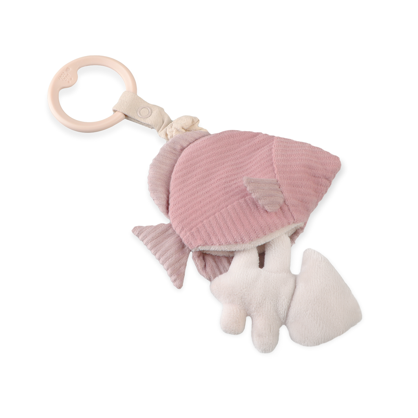 ANGEL FISH