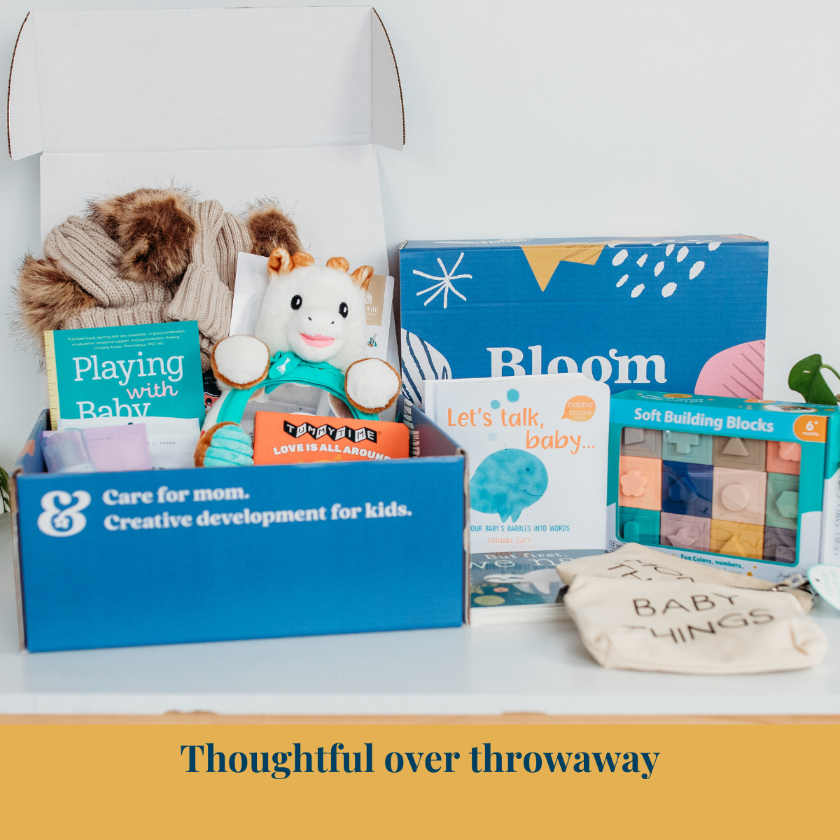 Rise Mom + Baby Box | Thoughtful Support for Moms & Babies (0–12 Months)