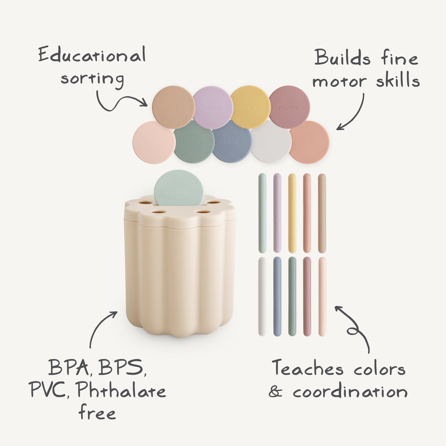 Coin & Tube Sorting Set