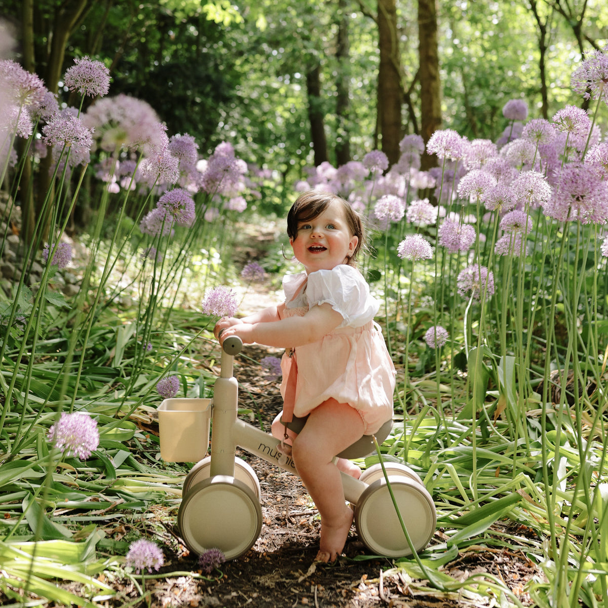 Mini Toddler Bike