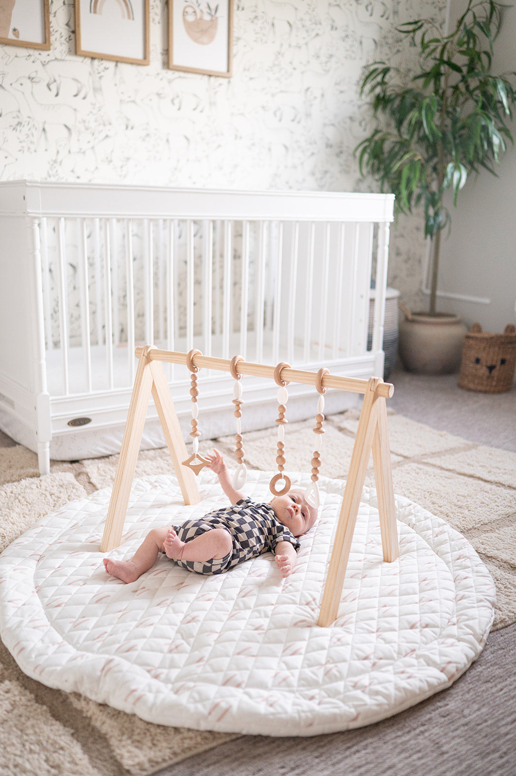 NEW! Wooden Baby Gym