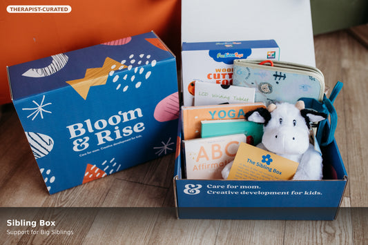 Sibling Box | Thoughtful Support for Big Siblings