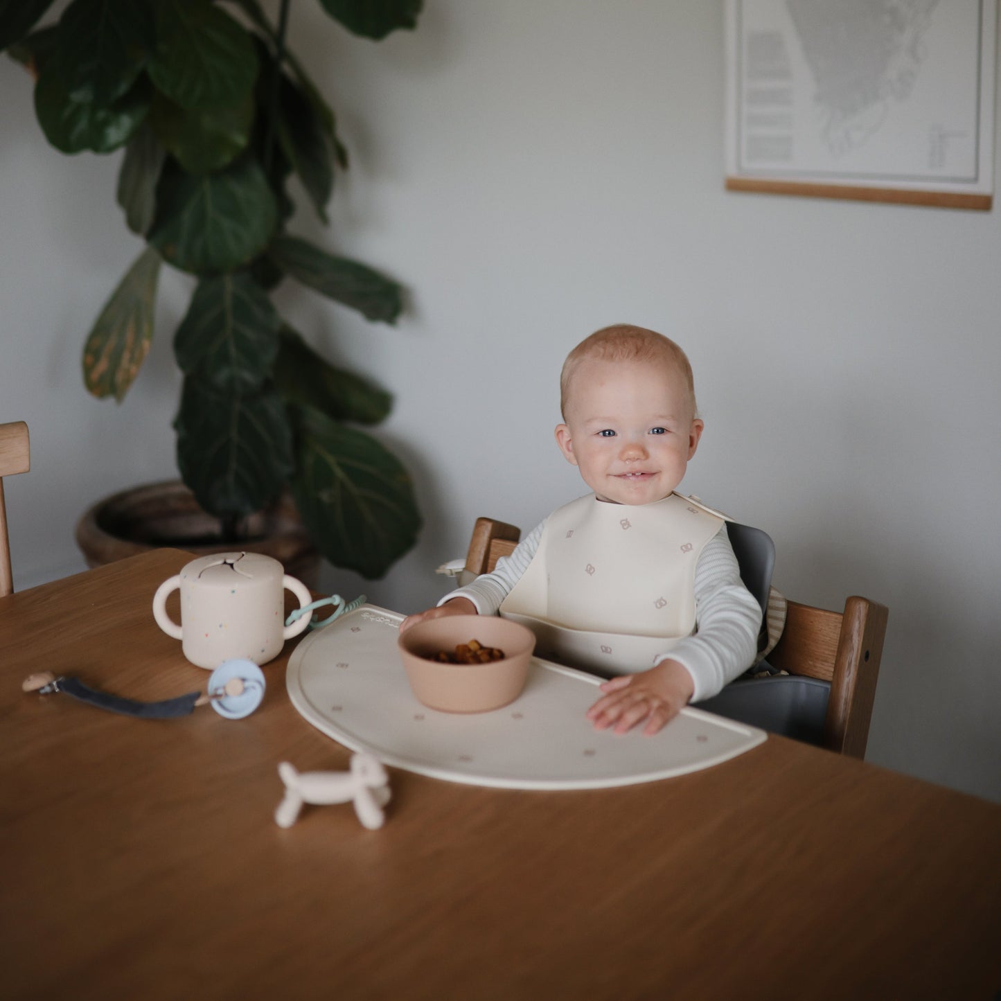 Silicone Suction Bowl