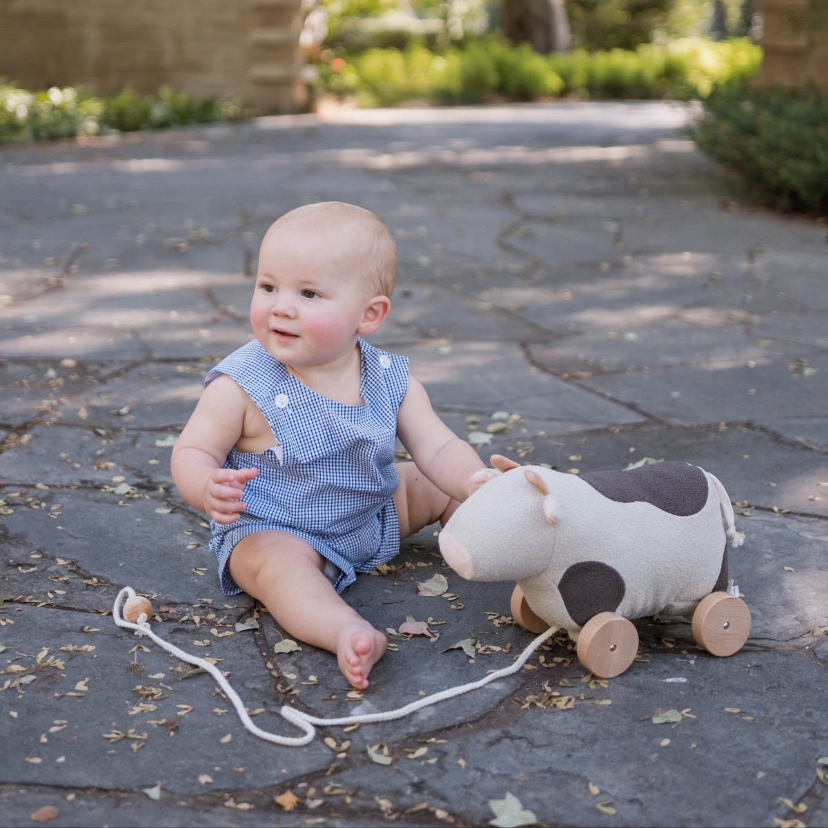 WILLOW