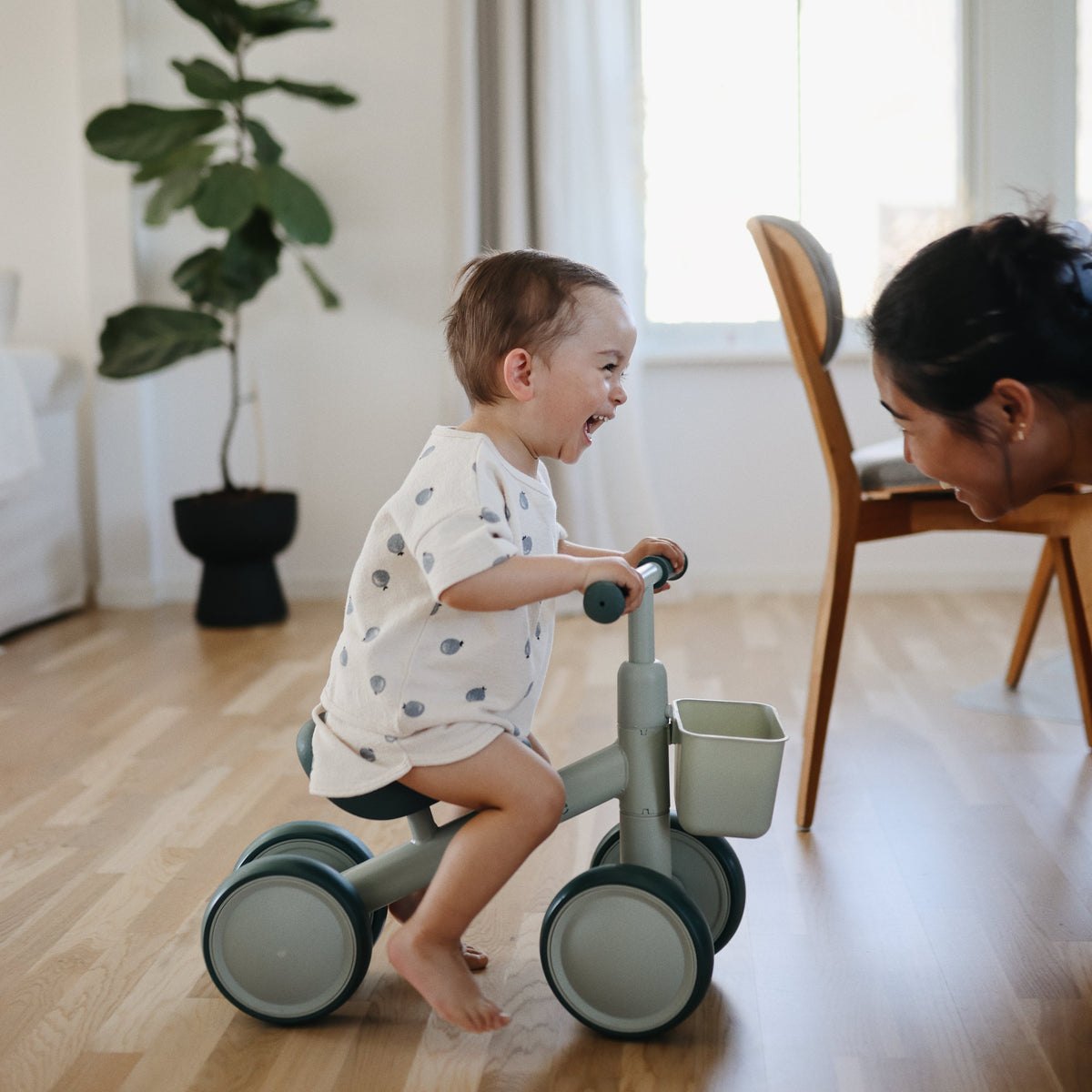 Mini Toddler Bike